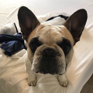 Meet your Posher, Crystal